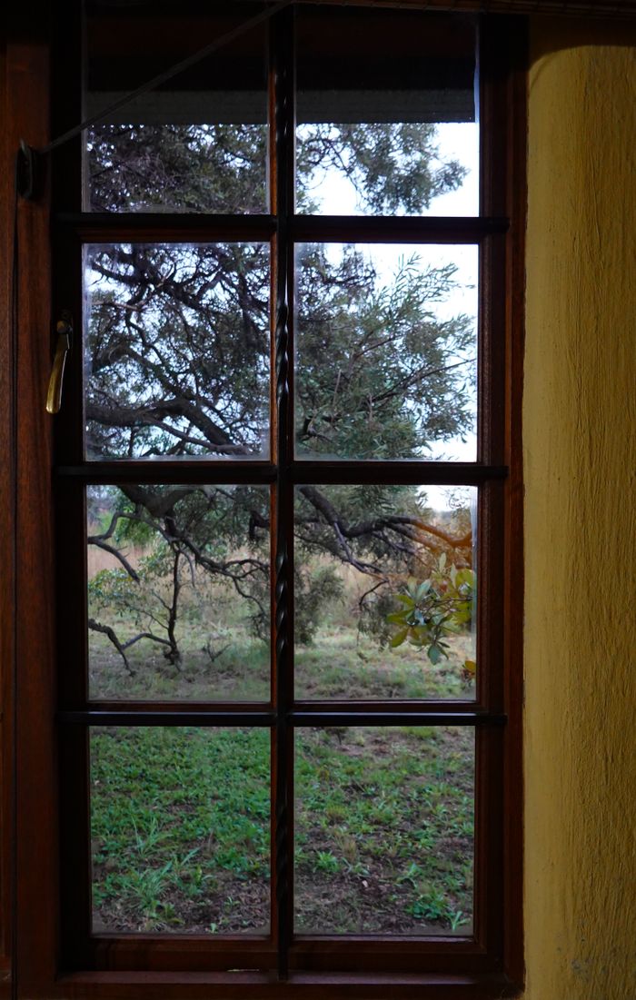 View through a rustic window showing a serene bushveld landscape.